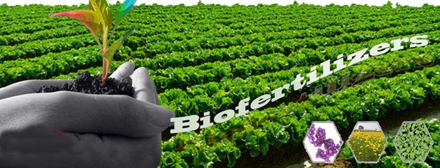 Agricultural Bio Fertilizers